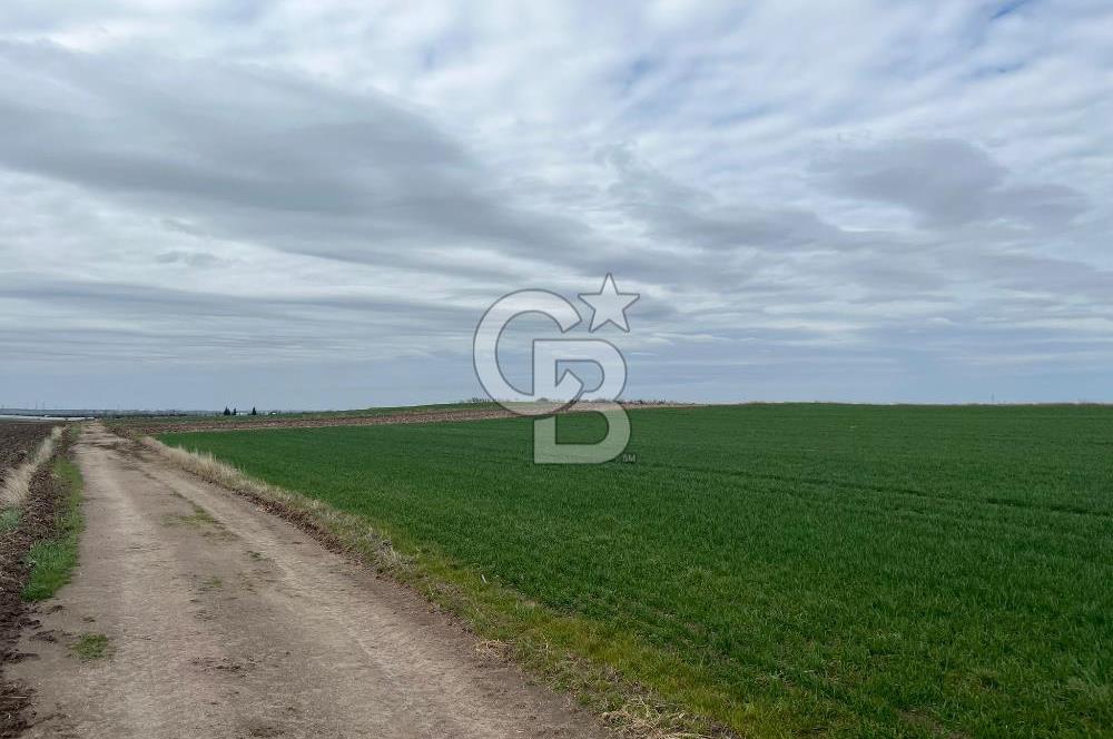 TEKİRDAĞ SARAY BEYAZKÖYDE 1427 M² UYGUN FİYATLI SATILIK TARLA