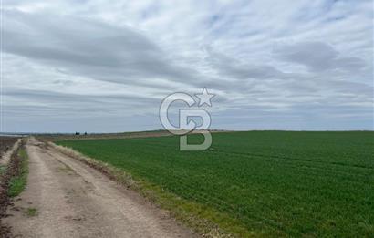 TEKİRDAĞ SARAY BEYAZKÖYDE 1427 M² UYGUN FİYATLI SATILIK TARLA