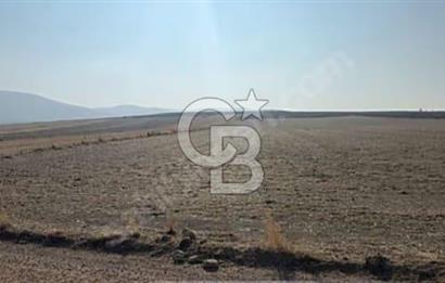 IPARD VE KKDYP PROJESİNE UYGUN İNŞAAT RUHSATLI SATILIK TARLA