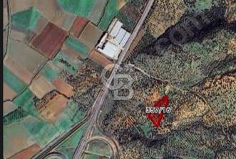 Bergama Zeytindağ'da Satılık 96.40 m² Hisseli Zeytinlik - 10 - 344376