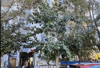 GAZİEMİR GAZİ MH. 3+1 SİTE İÇERİSİ GENİŞ AYDINLIK FERAH DAİRE - 8 - 344379