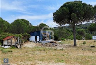 Bergama Demircidere Fıstık Çamları Altın da Satılık Ev Ve Arazi - 5 - 344385