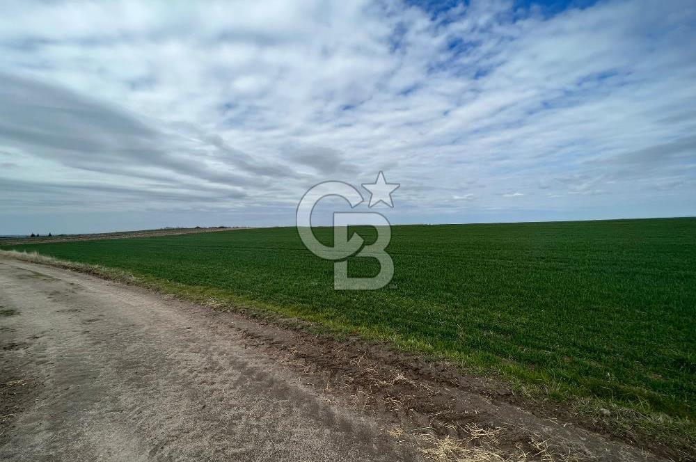 TEKİRDAĞ SARAY BEYAZKÖYDE 1427 M² UYGUN FİYATLI SATILIK TARLA