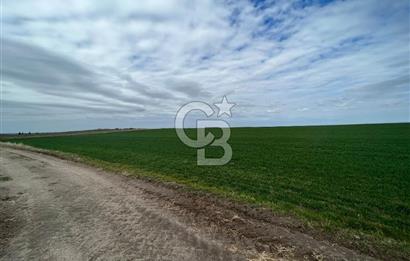 TEKİRDAĞ SARAY BEYAZKÖYDE 1427 M² UYGUN FİYATLI SATILIK TARLA