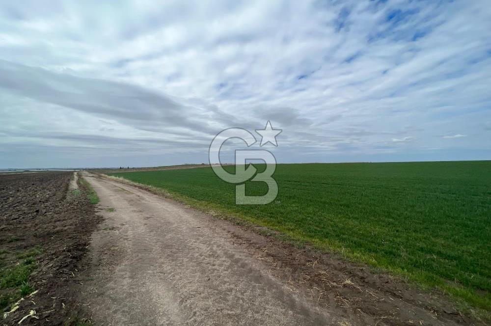 TEKİRDAĞ SARAY BEYAZKÖYDE 1427 M² UYGUN FİYATLI SATILIK TARLA