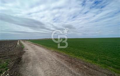 TEKİRDAĞ SARAY BEYAZKÖYDE 1427 M² UYGUN FİYATLI SATILIK TARLA