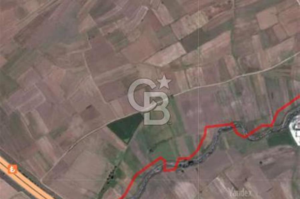 TEKİRDAĞ SARAY BEYAZKÖYDE 1427 M² UYGUN FİYATLI SATILIK TARLA