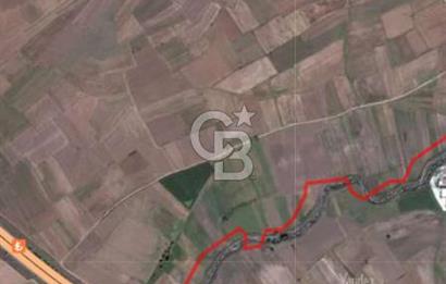 TEKİRDAĞ SARAY BEYAZKÖYDE 1427 M² UYGUN FİYATLI SATILIK TARLA