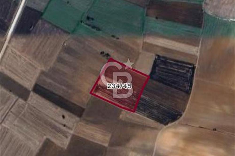 KIRIKLARELİ BABAESKİ SATILIK 850 M2 TARLA