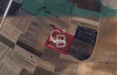 KIRIKLARELİ BABAESKİ SATILIK 850 M2 TARLA