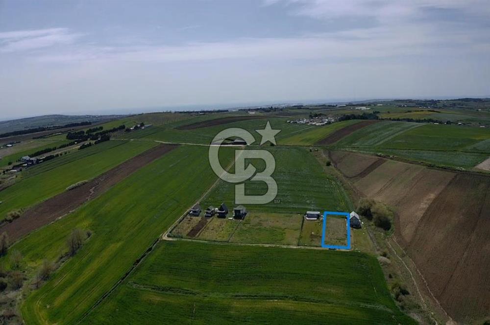 ÇATALCA OVAYENİCE DE ÇAPLI MUVAFAKATNAMELİ SATILIK 590 M2 TARLA