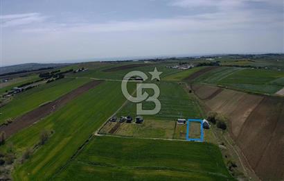 ÇATALCA OVAYENİCE DE ÇAPLI MUVAFAKATNAMELİ SATILIK 590 M2 TARLA