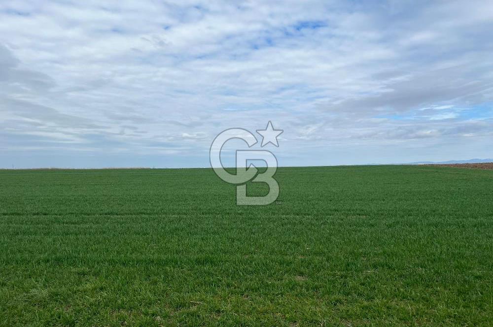 TEKİRDAĞ SARAY BEYAZKÖYDE 1427 M² UYGUN FİYATLI SATILIK TARLA