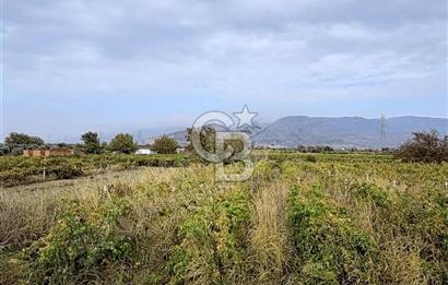 MENEMEN HAYKIRAN'DA GEDİZ NEHRİNE YAKIN YATIRIMLIK TARLA