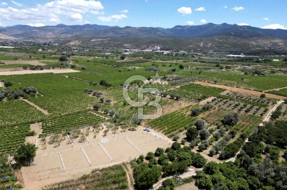 MENEMEN HAYKIRAN'DA GEDİZ NEHRİNE YAKIN YATIRIMLIK TARLA