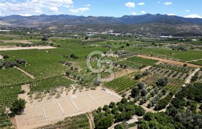 MENEMEN HAYKIRAN'DA GEDİZ NEHRİNE YAKIN YATIRIMLIK TARLA