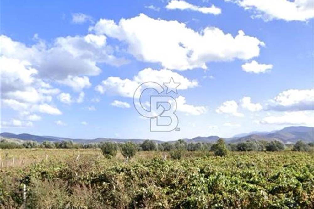 MENEMEN HAYKIRAN'DA GEDİZ NEHRİNE YAKIN YATIRIMLIK TARLA