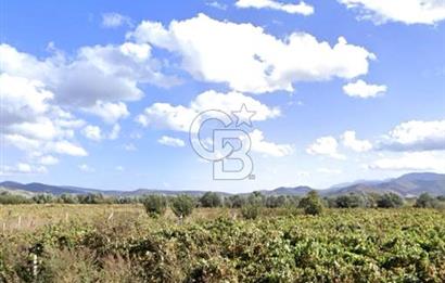 MENEMEN HAYKIRAN'DA GEDİZ NEHRİNE YAKIN YATIRIMLIK TARLA