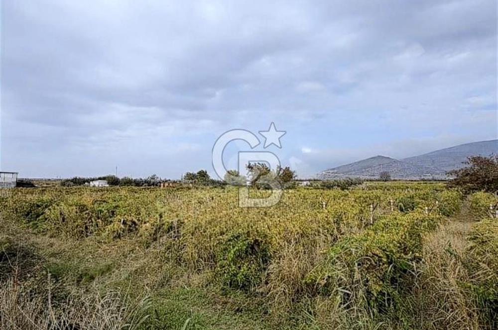 MENEMEN HAYKIRAN'DA GEDİZ NEHRİNE YAKIN YATIRIMLIK TARLA