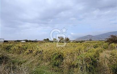 MENEMEN HAYKIRAN'DA GEDİZ NEHRİNE YAKIN YATIRIMLIK TARLA