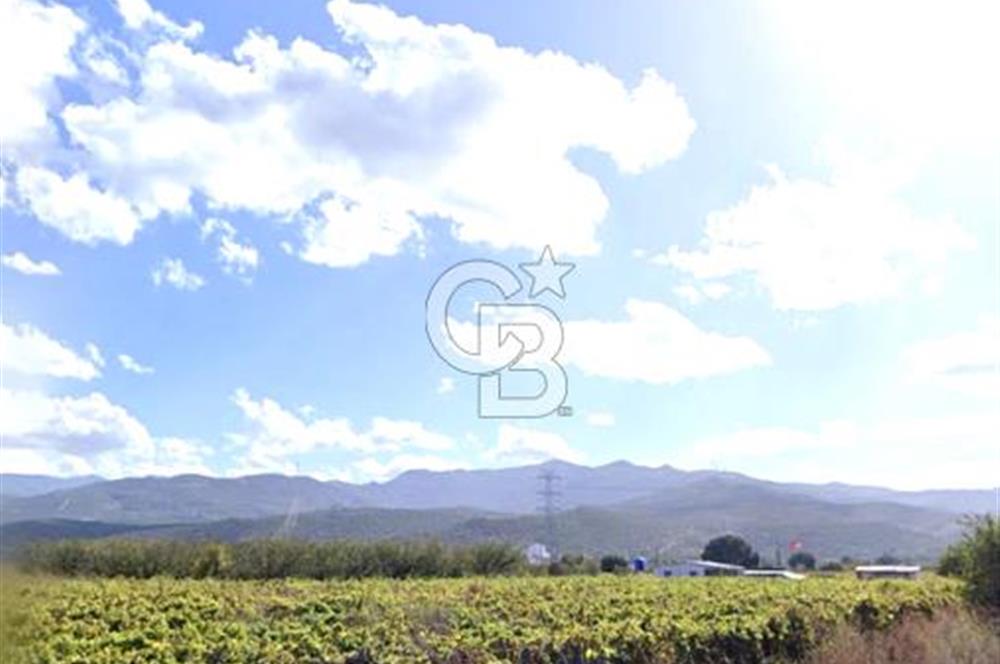 MENEMEN HAYKIRAN'DA GEDİZ NEHRİNE YAKIN YATIRIMLIK TARLA