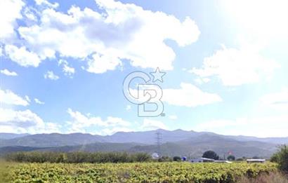 MENEMEN HAYKIRAN'DA GEDİZ NEHRİNE YAKIN YATIRIMLIK TARLA