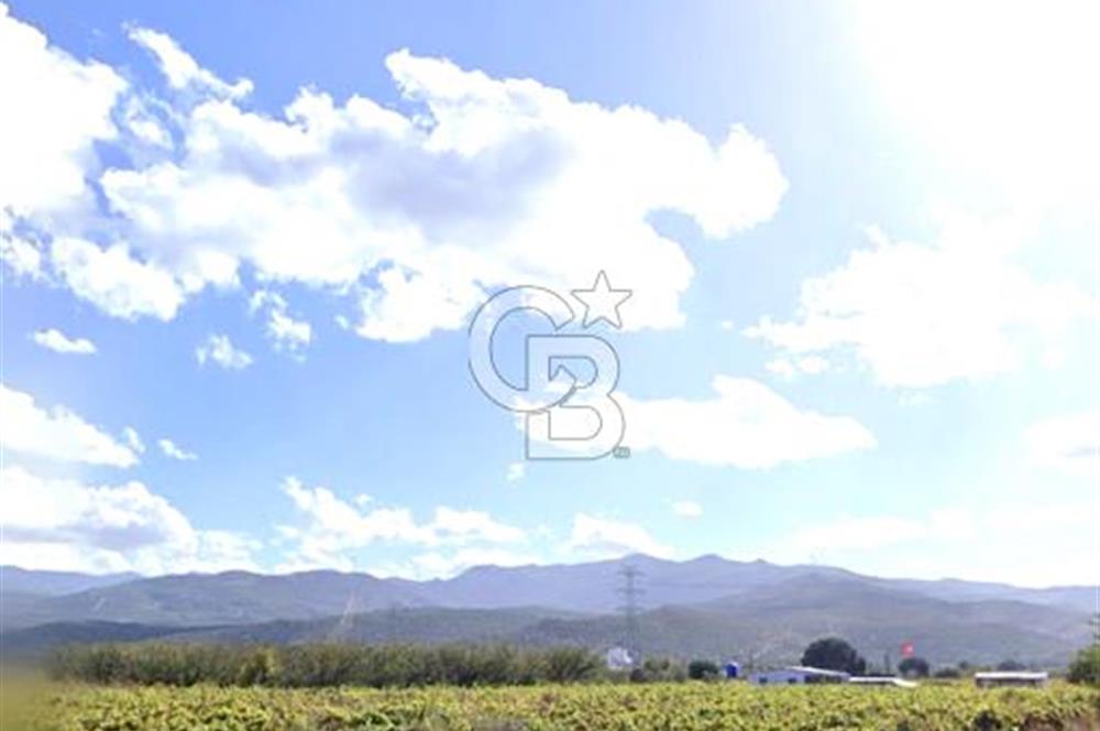 MENEMEN HAYKIRAN'DA GEDİZ NEHRİNE YAKIN YATIRIMLIK TARLA