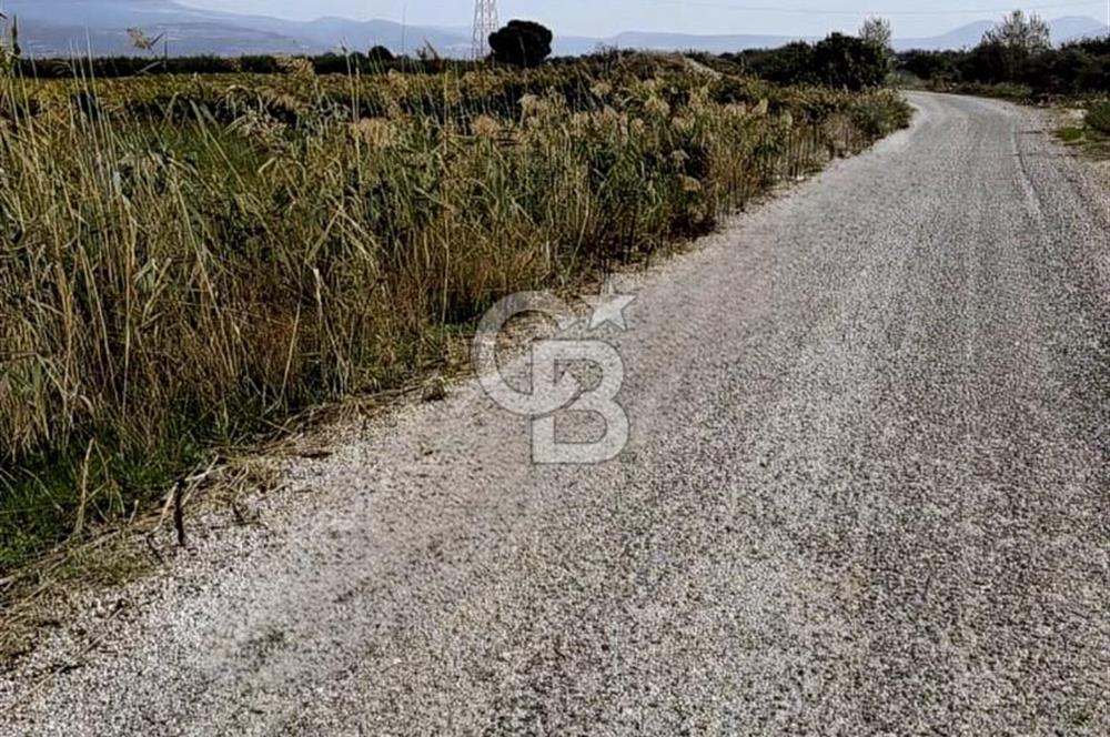 MENEMEN HAYKIRAN'DA GEDİZ NEHRİNE YAKIN YATIRIMLIK TARLA