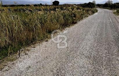 MENEMEN HAYKIRAN'DA GEDİZ NEHRİNE YAKIN YATIRIMLIK TARLA