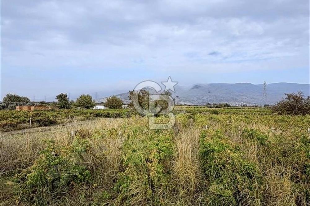 MENEMEN HAYKIRAN'DA GEDİZ NEHRİNE YAKIN YATIRIMLIK TARLA