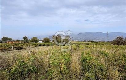 MENEMEN HAYKIRAN'DA GEDİZ NEHRİNE YAKIN YATIRIMLIK TARLA
