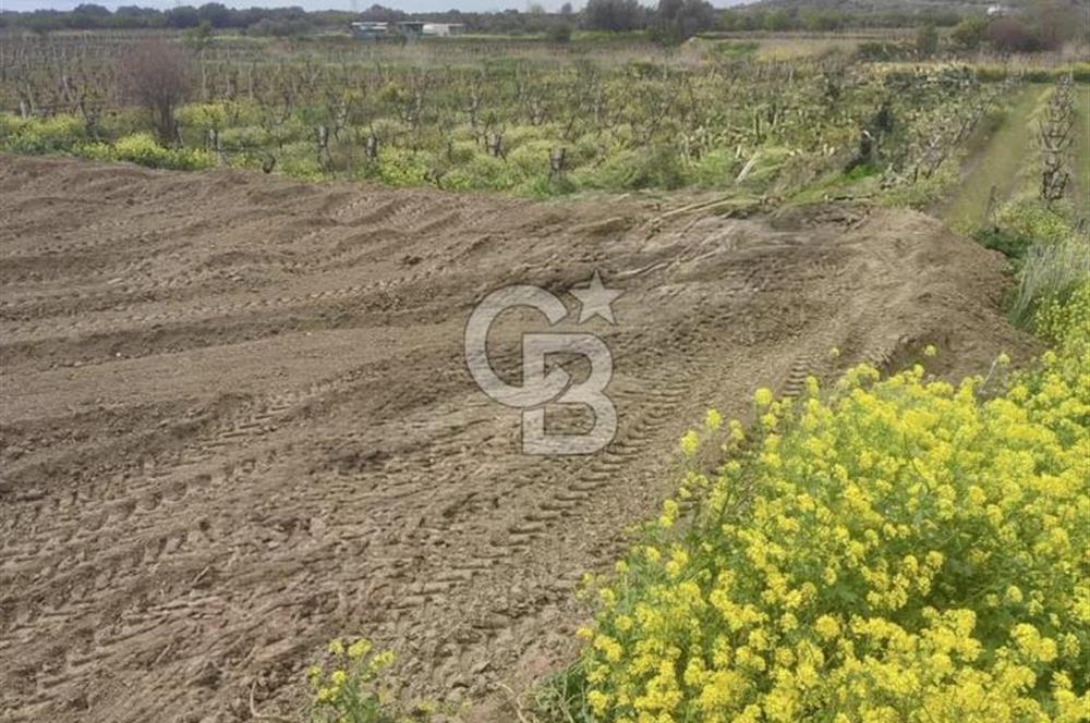 MENEMEN HAYKIRAN'DA GEDİZ NEHRİNE YAKIN YATIRIMLIK TARLA