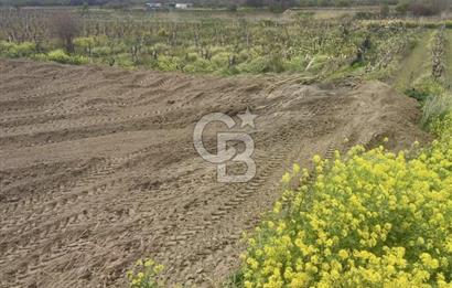 MENEMEN HAYKIRAN'DA GEDİZ NEHRİNE YAKIN YATIRIMLIK TARLA