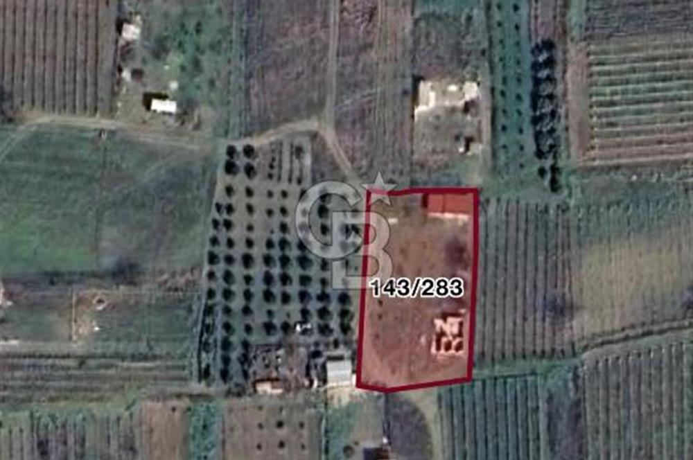 MENEMEN HAYKIRAN'DA GEDİZ NEHRİNE YAKIN YATIRIMLIK TARLA