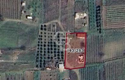 MENEMEN HAYKIRAN'DA GEDİZ NEHRİNE YAKIN YATIRIMLIK TARLA