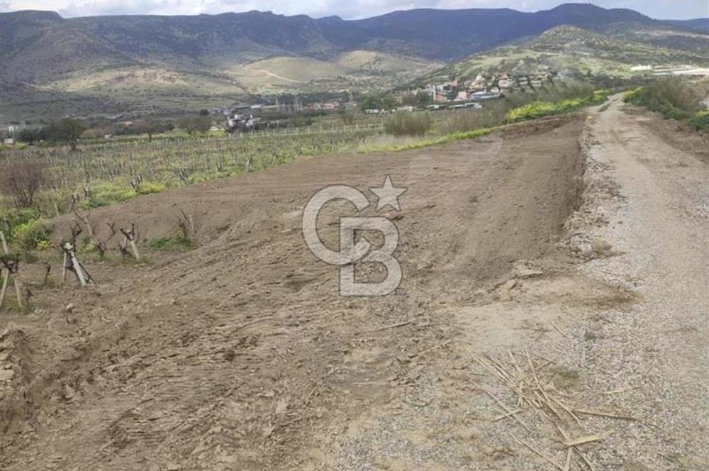 MENEMEN HAYKIRAN'DA GEDİZ NEHRİNE YAKIN YATIRIMLIK TARLA