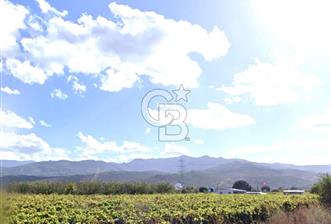 MENEMEN HAYKIRAN'DA GEDİZ NEHRİNE YAKIN YATIRIMLIK TARLA - 11 - 344361