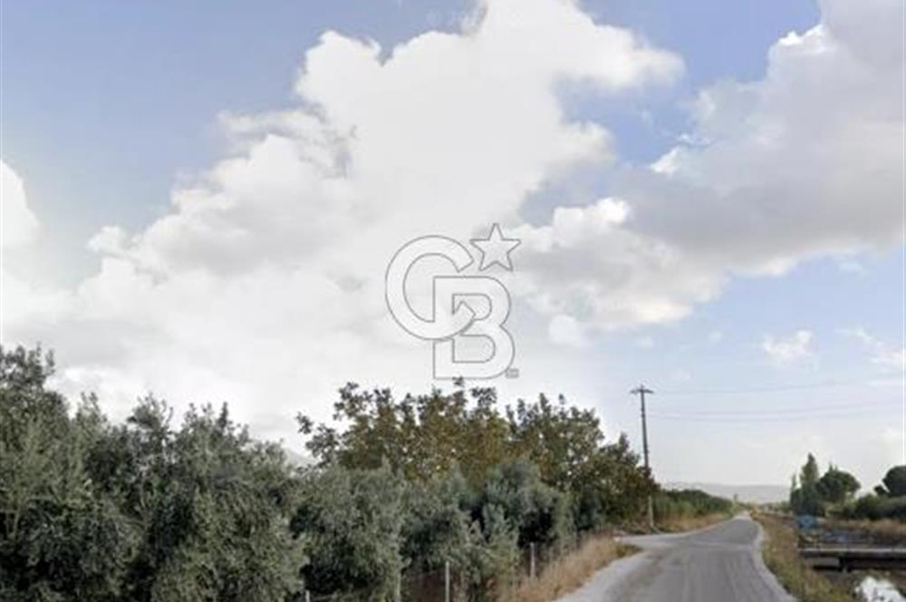 MENEMEN HAYKIRAN'DA GEDİZ NEHRİNE YAKIN YATIRIMLIK TARLA