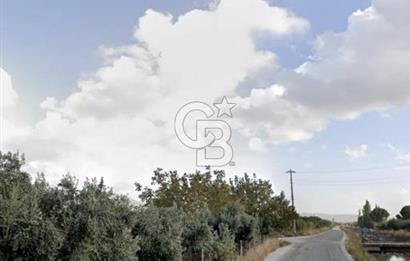 MENEMEN HAYKIRAN'DA GEDİZ NEHRİNE YAKIN YATIRIMLIK TARLA