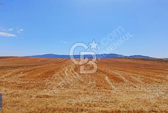 CB ENVOY'dan Çorum Merkez Kadıkırı'da 20.351m2 Tarla - 1 - 344585