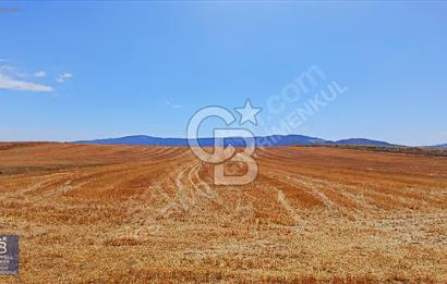 CB ENVOY'dan Çorum Merkez Kadıkırı'da 20.351m2 Tarla