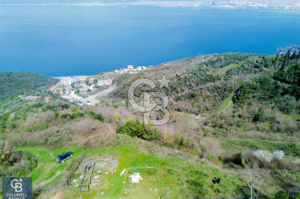 CB ENVOY'dan GÖLCÜK KÖRFEZ MAHALLESİ'nde 18.805 M2 SATILIK TARLA
