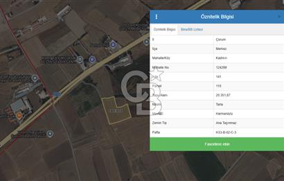 CB ENVOY'dan Çorum Merkez Kadıkırı'da 20.351m2 Tarla