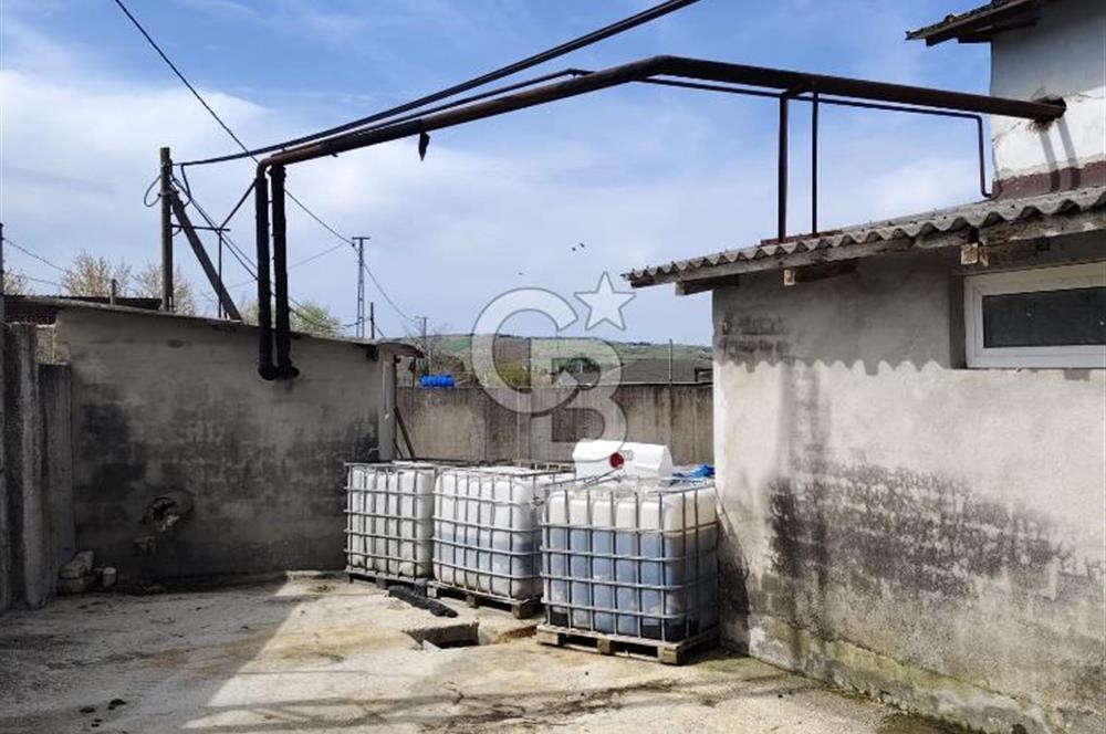 Tır Girişine Uygun 6.5 m Yüksek Depo | 800 m² Net