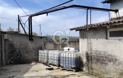 Tır Girişine Uygun 6.5 m Yüksek Depo | 800 m² Net