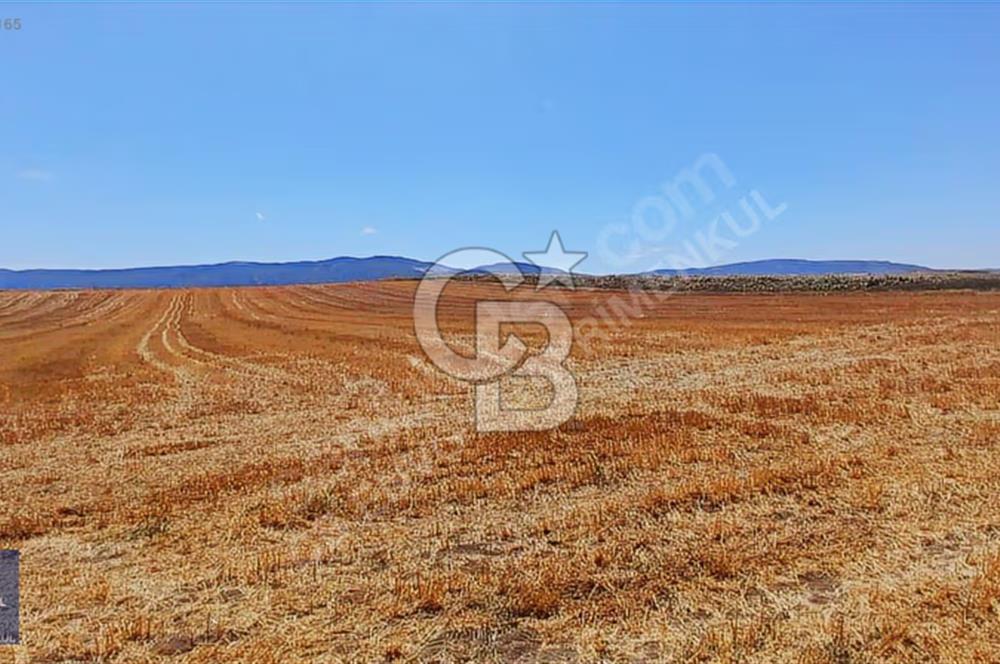 CB ENVOY'dan Çorum Merkez Kadıkırı'da 20.351m2 Tarla