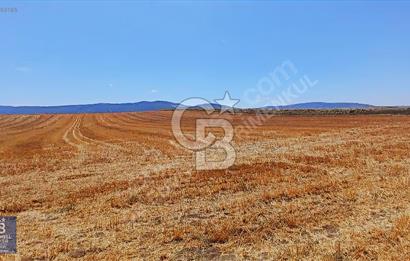CB ENVOY'dan Çorum Merkez Kadıkırı'da 20.351m2 Tarla