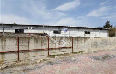 Tır Girişine Uygun 6.5 m Yüksek Depo | 800 m² Net