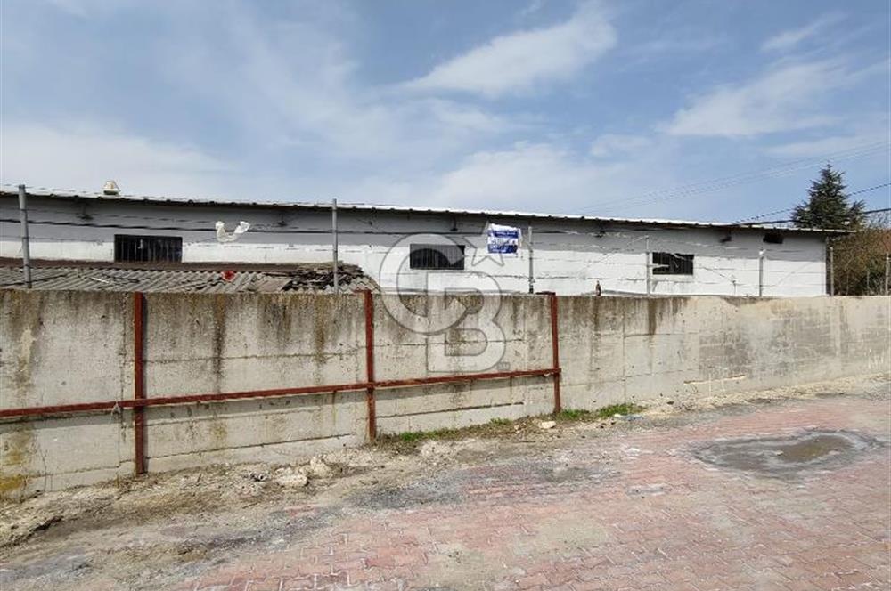 Tır Girişine Uygun 6.5 m Yüksek Depo | 800 m²