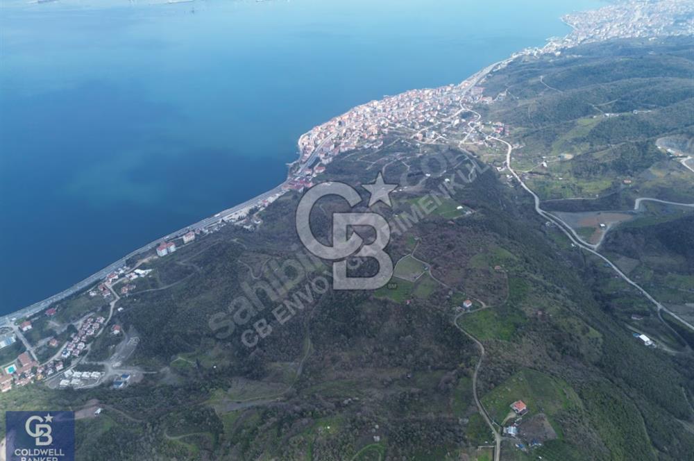 CB ENVOY'dan GÖLCÜK KÖRFEZ MAHALLESİ'nde 18.805 M2 SATILIK TARLA